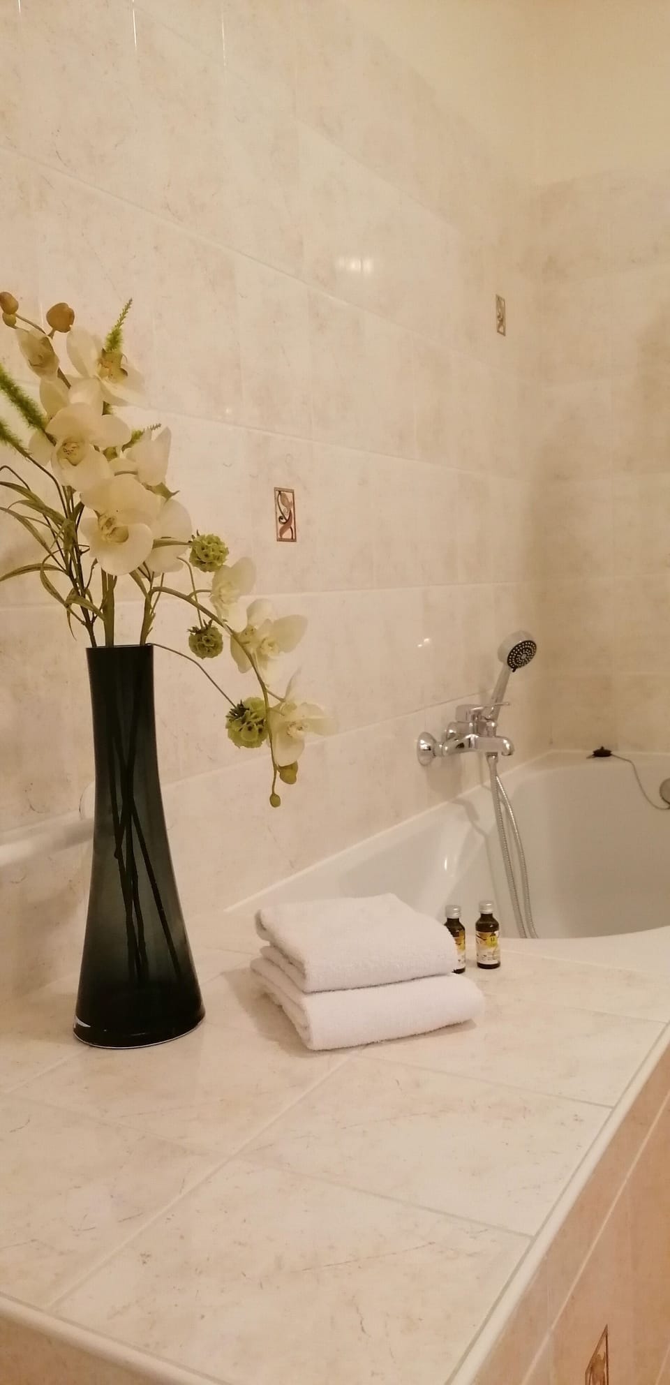 Exclusive Room | Bathroom | Free toiletries, hair dryer, towels, soap