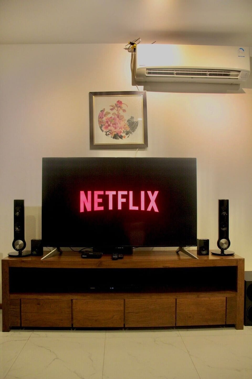 Television