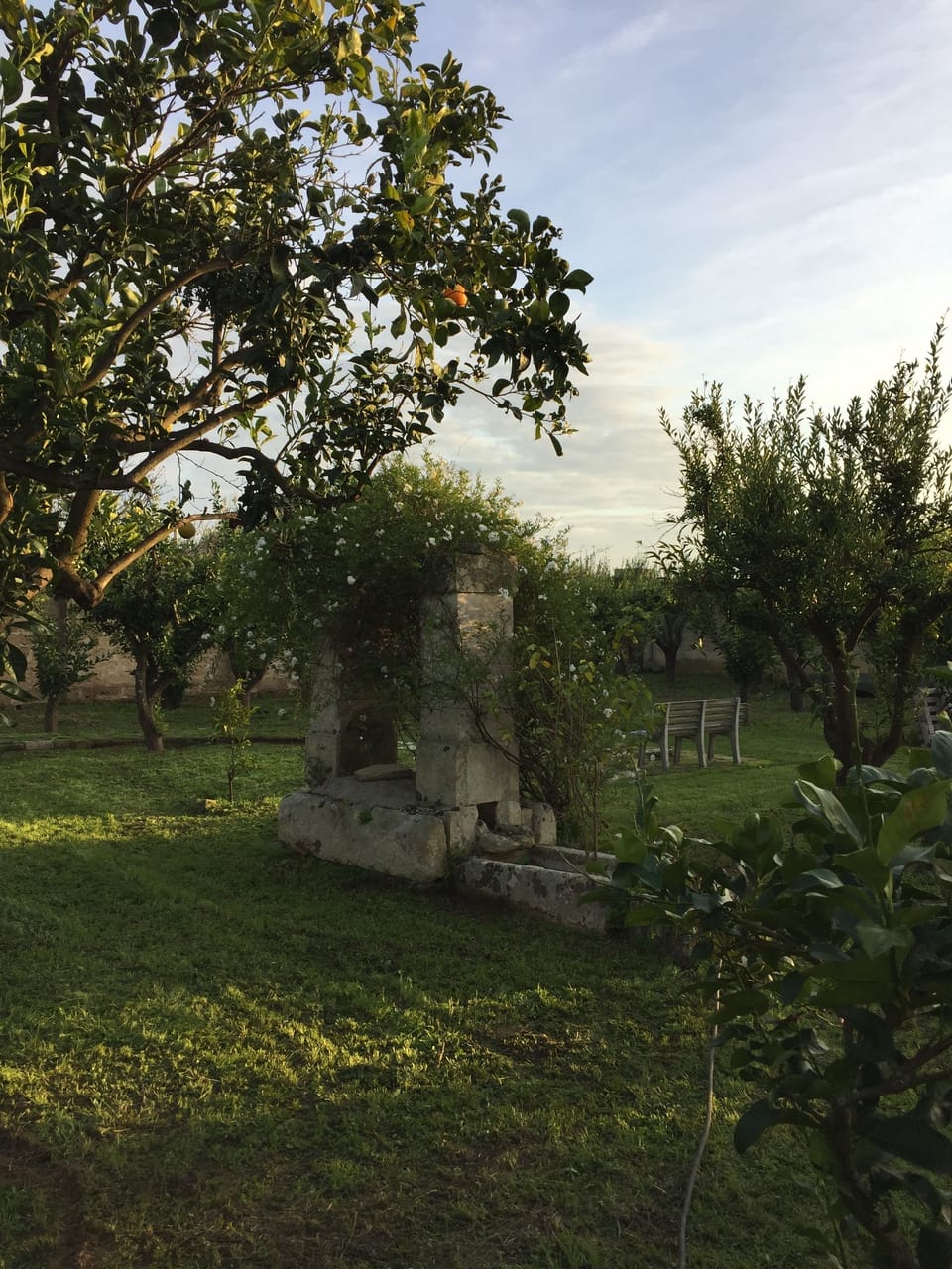 Garden view