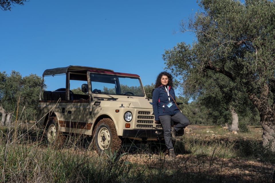 Game drive
