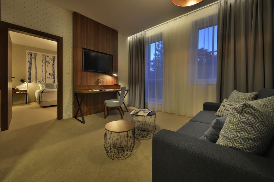 Executive Apartment (hotel EVA)  | Minibar, in-room safe, desk, soundproofing