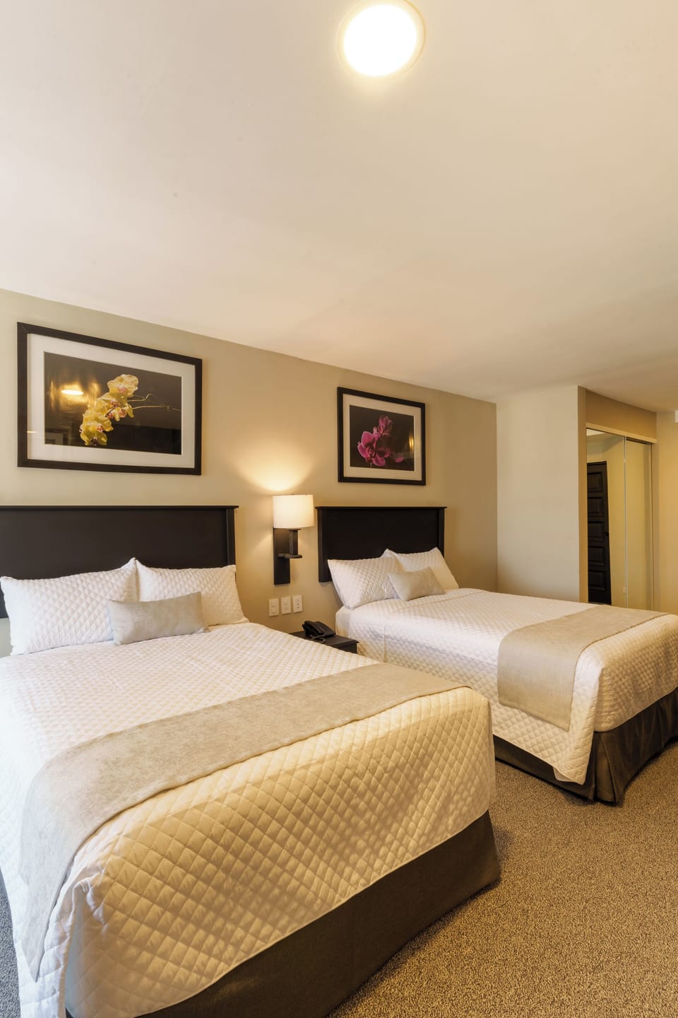 Standard Double Room | Hypo-allergenic bedding, desk, blackout drapes, soundproofing