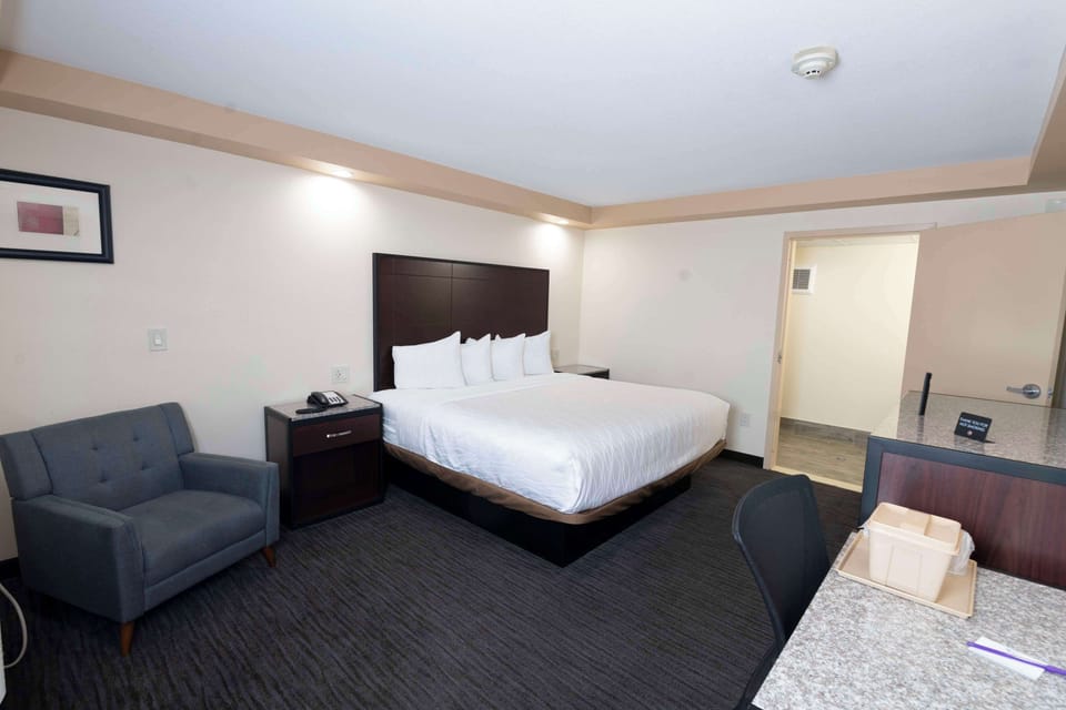 Deluxe Room, 1 King Bed, Non Smoking | Desk, iron/ironing board, free WiFi, bed sheets