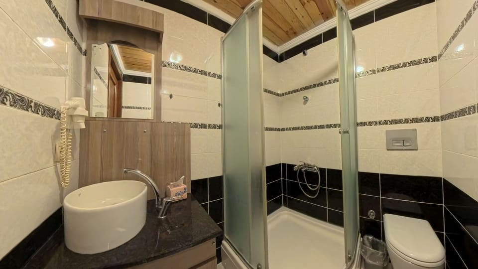 Shower, free toiletries, hair dryer, towels