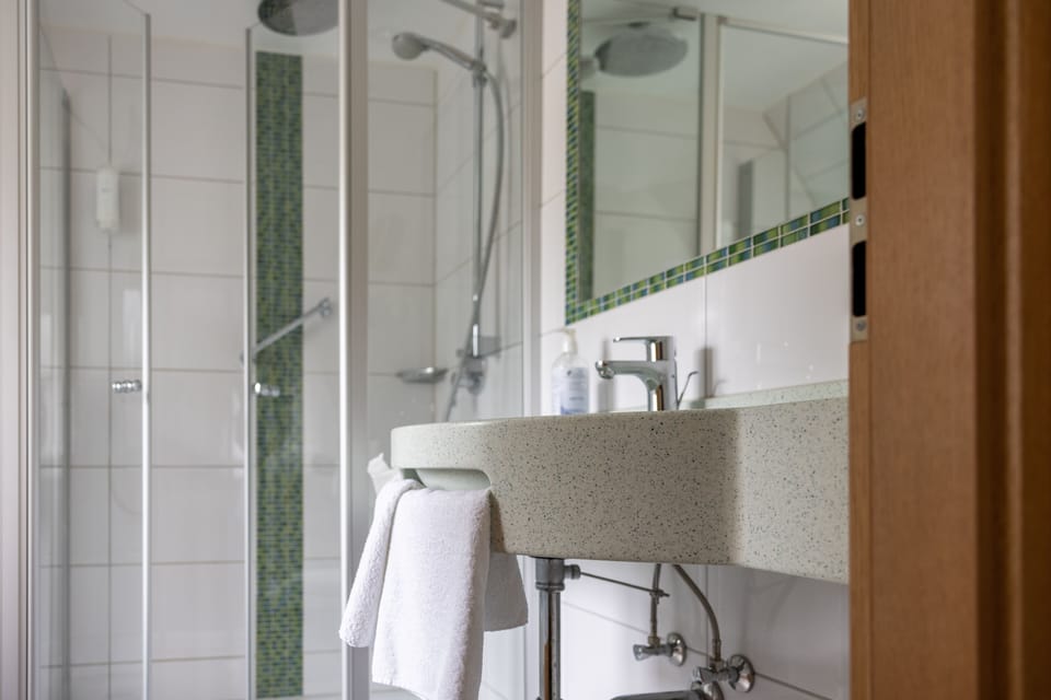 Double Room | Bathroom | Shower, hair dryer, towels