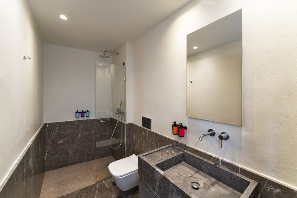 Shower, free toiletries, hair dryer, bathrobes
