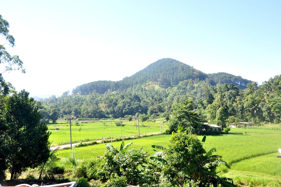 Mountain view