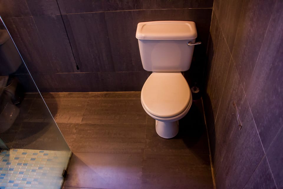 Shower, rainfall showerhead, free toiletries, towels
