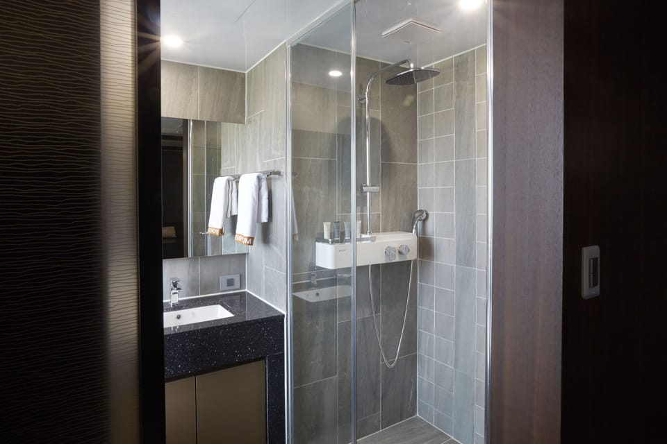 Shower, hair dryer, bathrobes, slippers