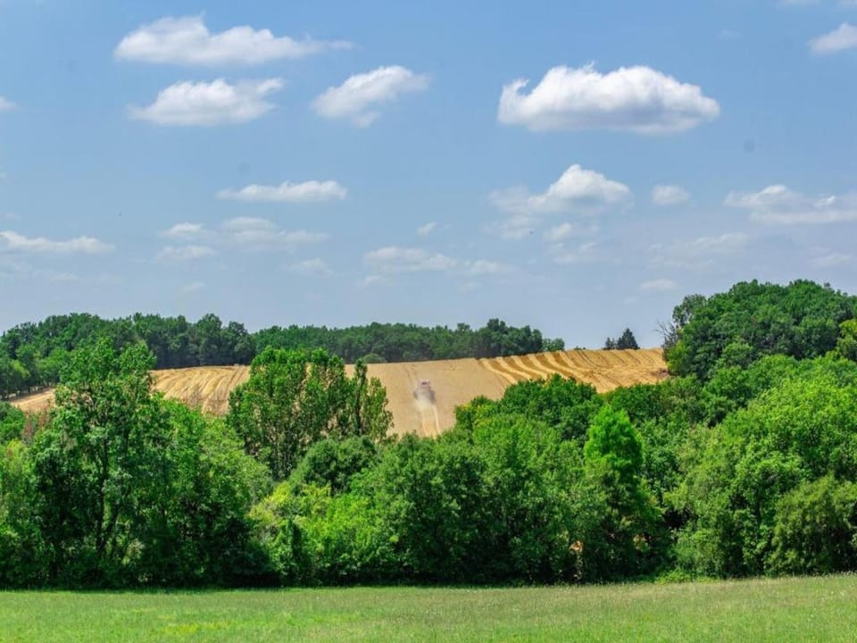 Surroundings [summer] (1-5 km)