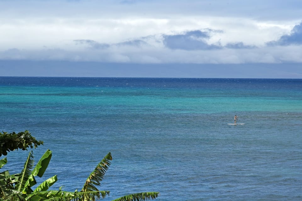 Condo, 1 Bedroom | Beach | On the beach