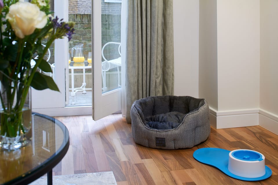Pet-friendly amenities