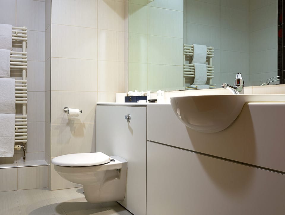 Free toiletries, hair dryer, towels