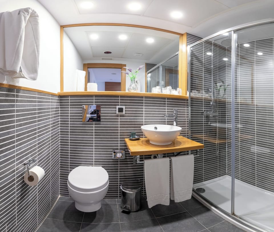 Shower, free toiletries, hair dryer, towels