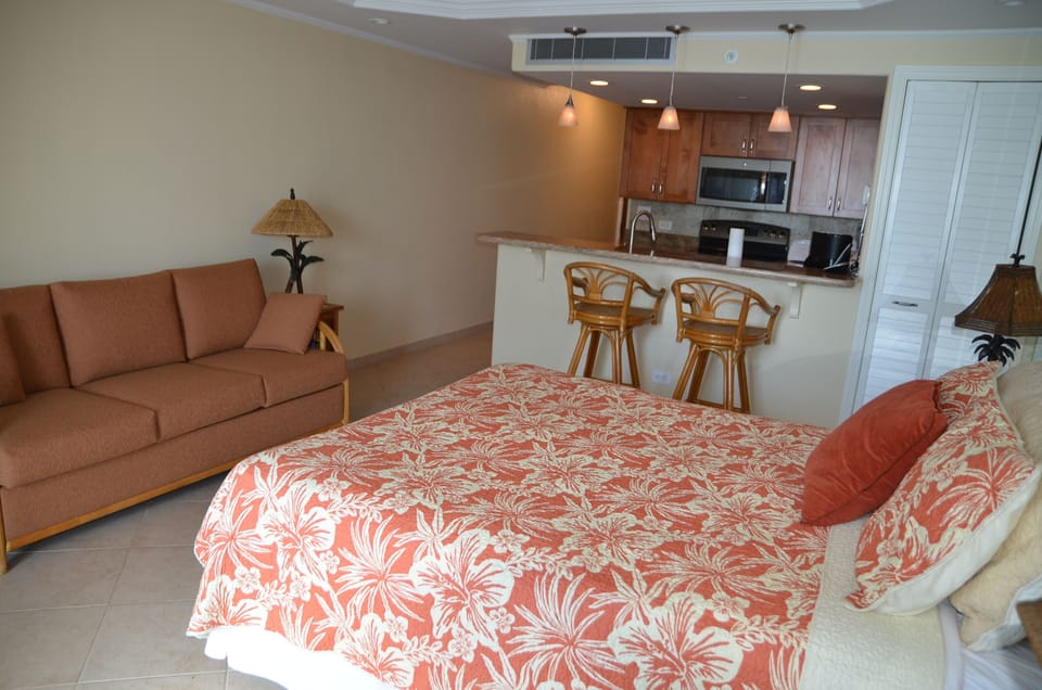 Studio | Iron/ironing board, free WiFi