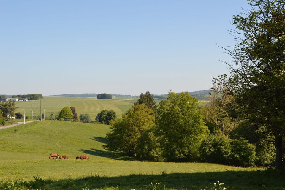 Region [summer] (>5 km)