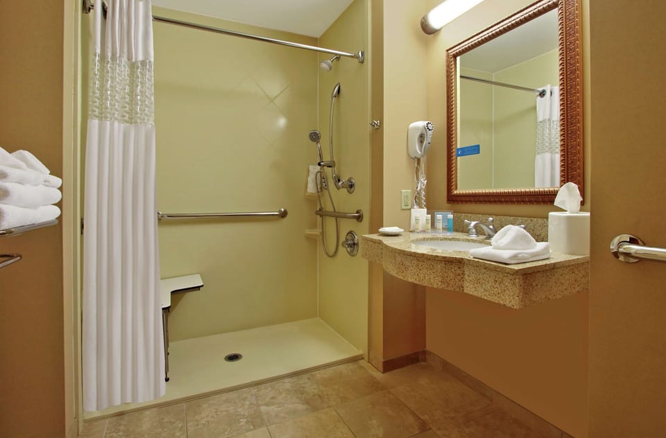 Room, 1 King Bed, Accessible, Non Smoking | Bathroom shower