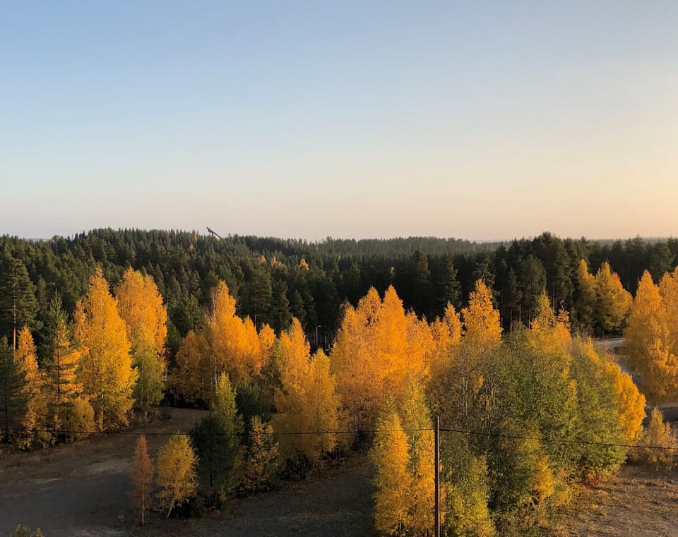 View from room