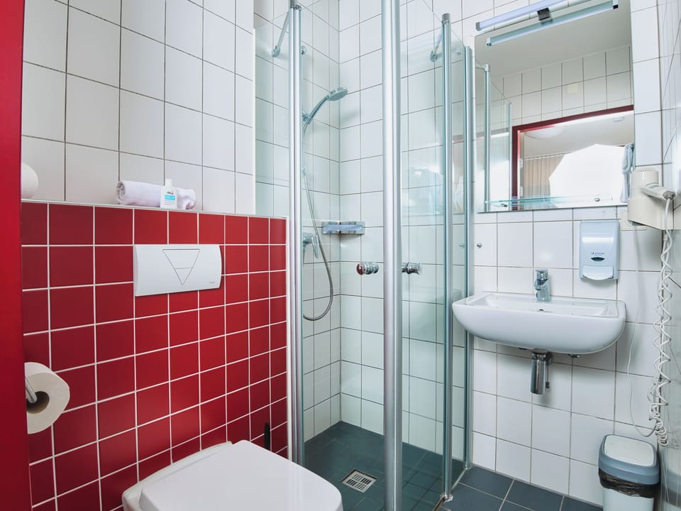 Shower, hair dryer, towels
