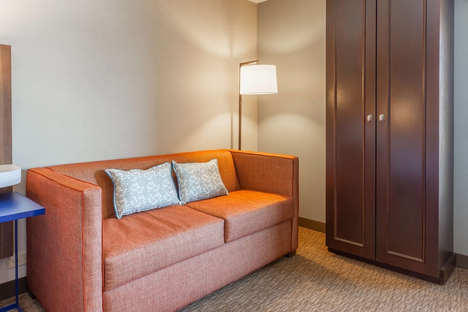 Premium Room, 1 King Bed with Sofa bed | Living area | 47-inch TV with satellite channels