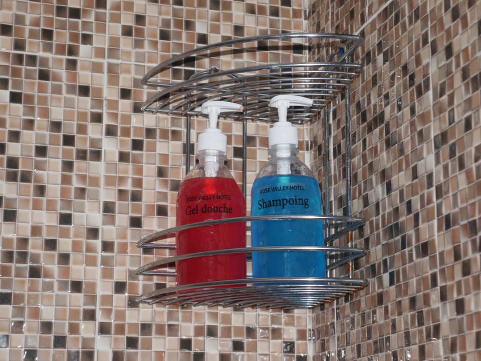 Double or Twin Room | Bathroom | Shower, rainfall showerhead, free toiletries, towels