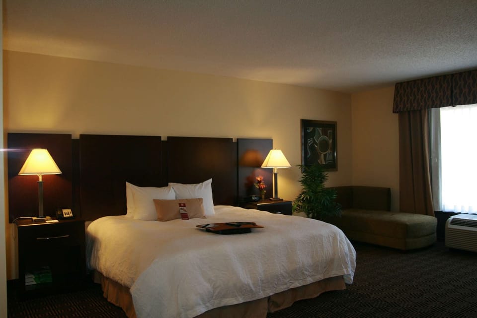 Suite, 1 King Bed, Non Smoking | Living area | 32-inch flat-screen TV with cable channels, TV