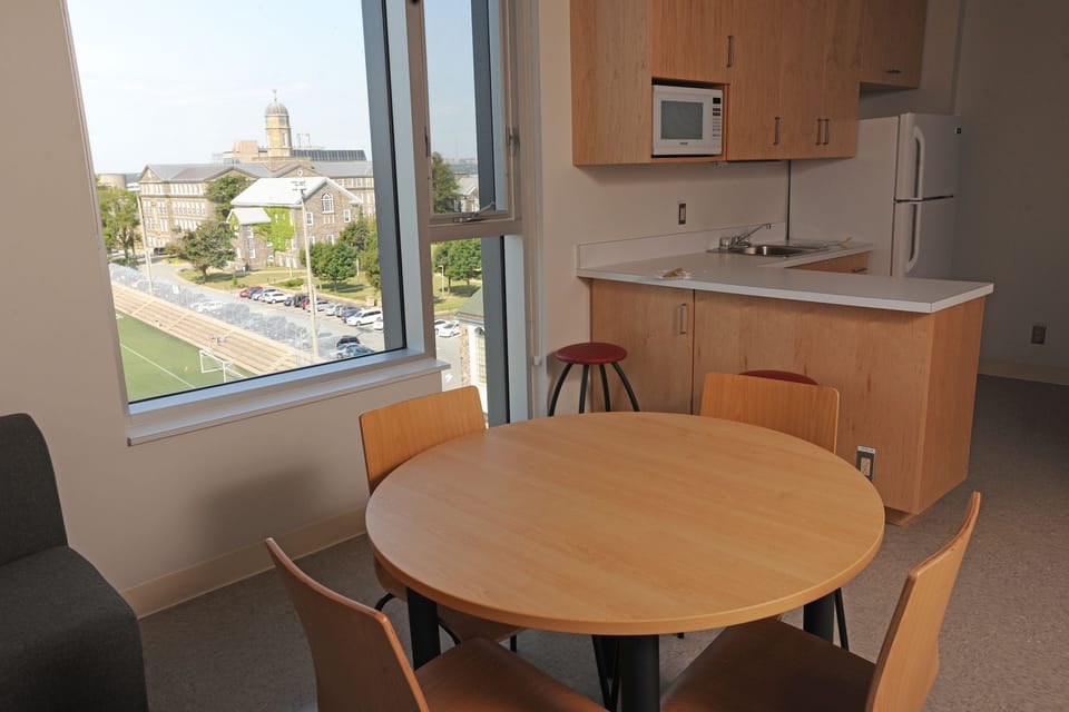Full-size fridge, microwave