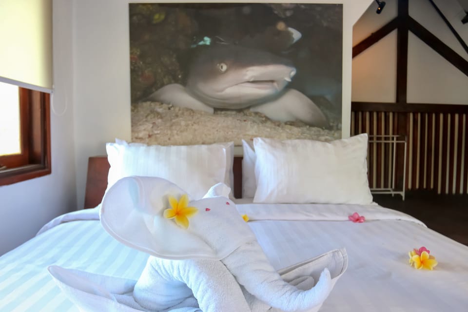 Standard Double Room, 1 King Bed | In-room safe, desk, blackout drapes, WiFi (free)