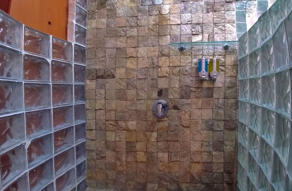 Standard Double Room, 1 King Bed | Bathroom shower