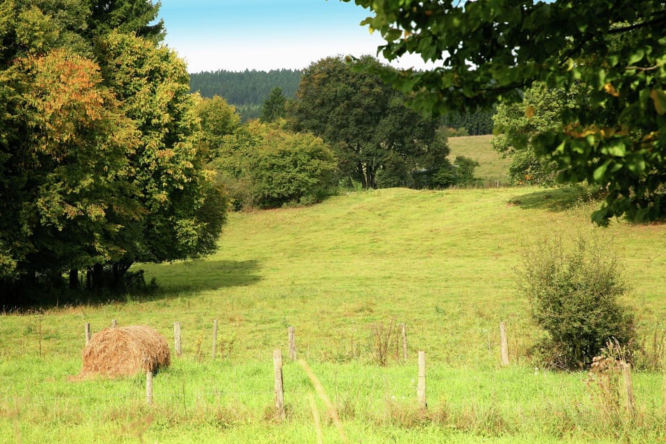 Region [summer] (>5 km)