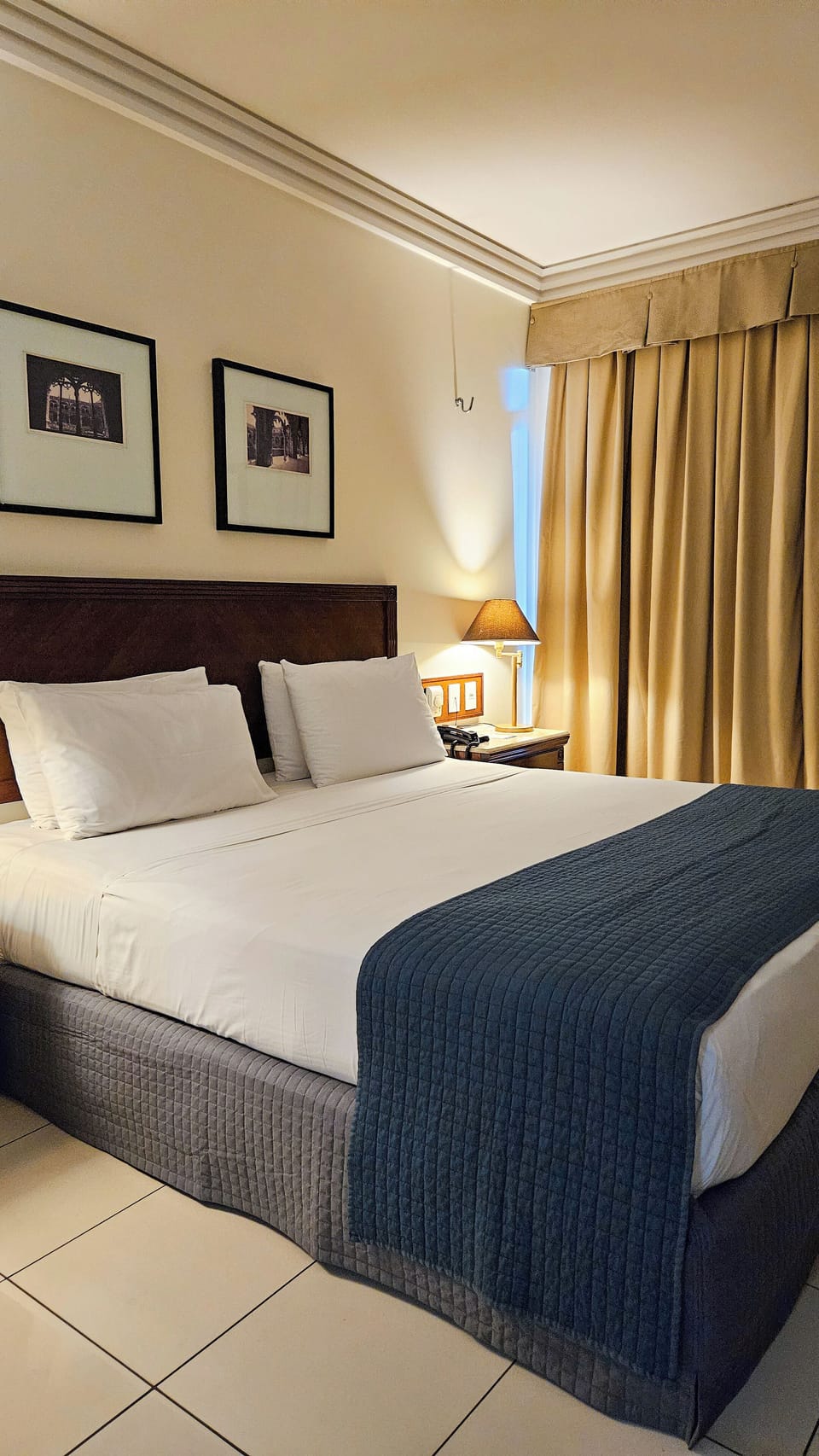 Down comforters, minibar, desk, free WiFi