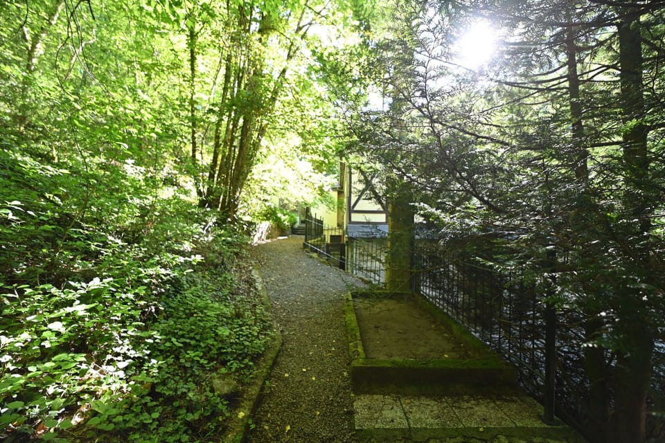 Immediate Surroundings [summer] (<1 km)