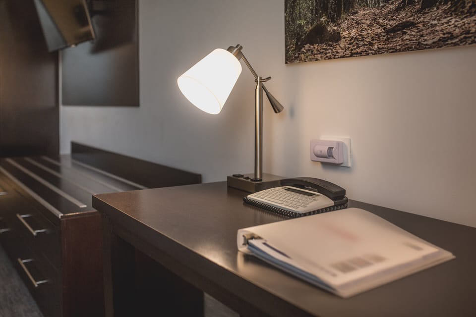 Standard Room, 1 King Bed, Accessible | Room amenity