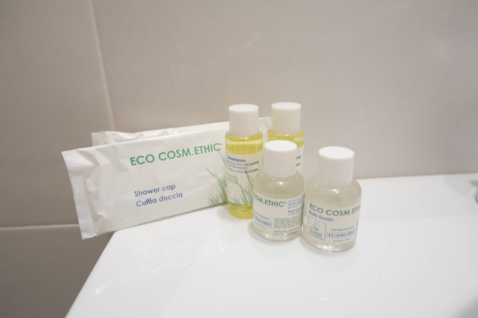 Standard Double or Twin Room | Bathroom | Free toiletries, hair dryer, bidet, towels