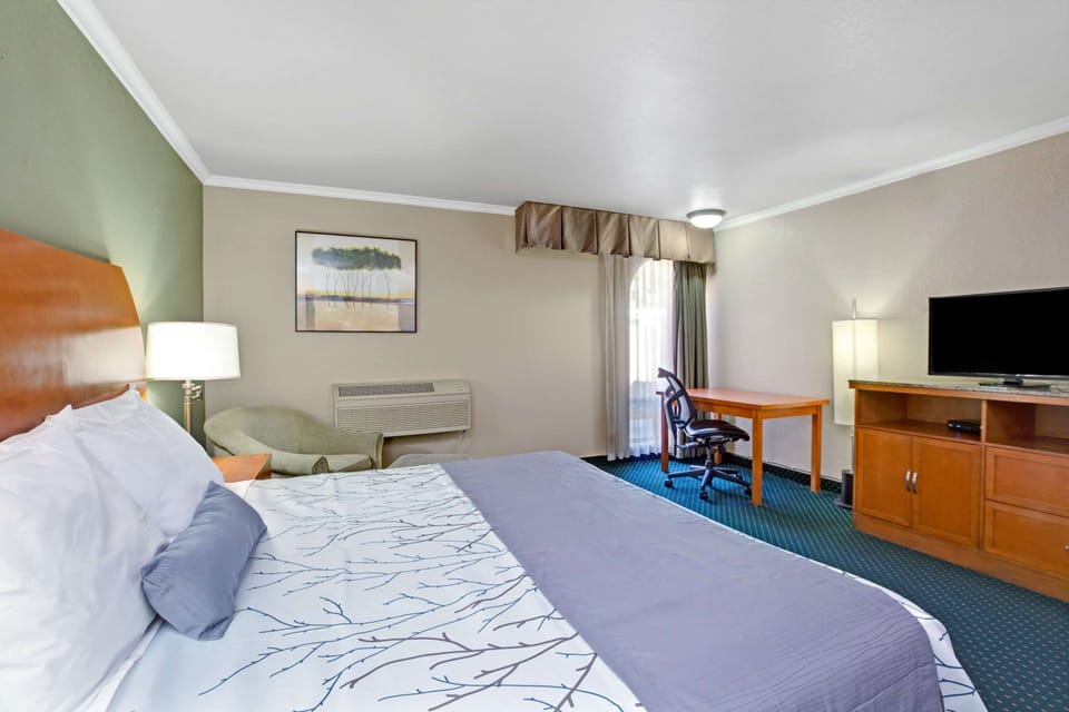 Blackout drapes, iron/ironing board, free cribs/infant beds, free WiFi
