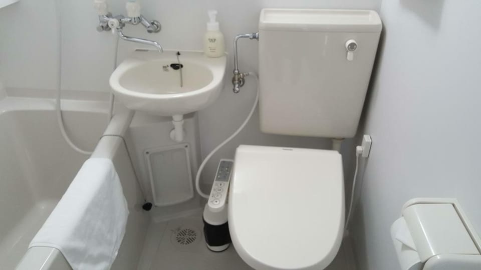 Combined shower/tub, deep soaking tub, free toiletries, hair dryer