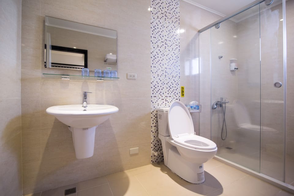 Free toiletries, hair dryer, slippers, bidet