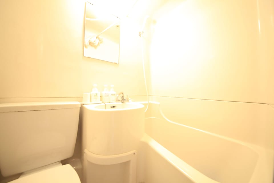 Combined shower/tub, slippers, electronic bidet, towels