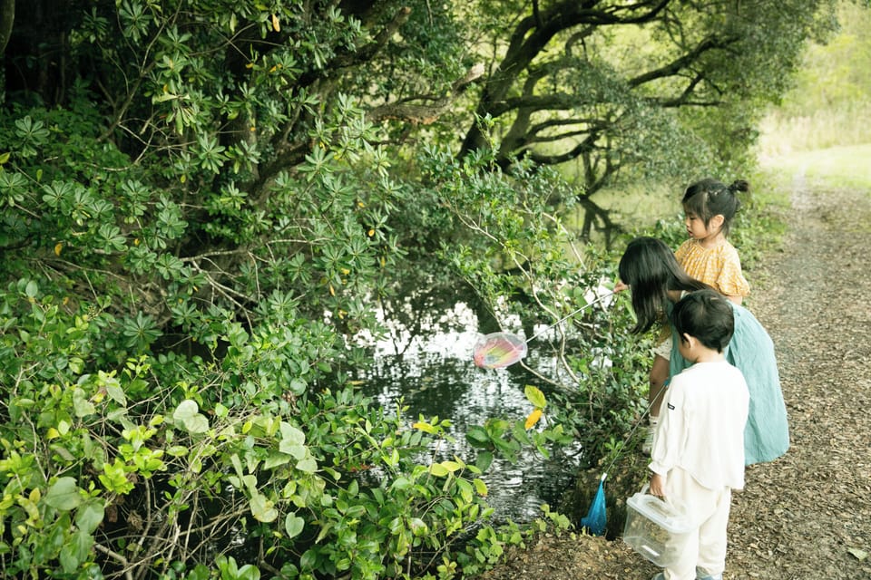 Children's play area - outdoor