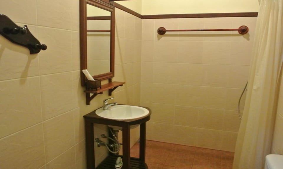 Shower, free toiletries, slippers, bidet