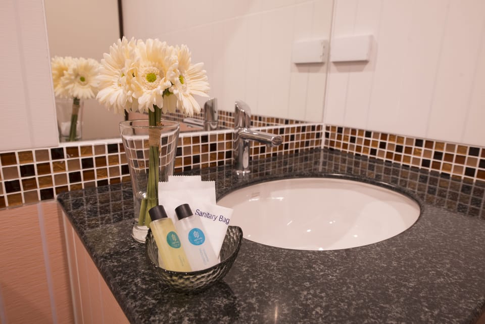 Shower, free toiletries, hair dryer, towels