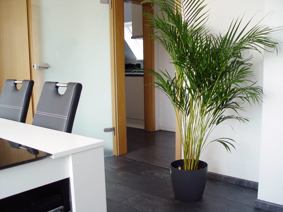 La Domus Premium Apartment in Osnabrück