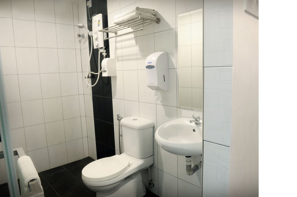 Shower, free toiletries, bidet, towels