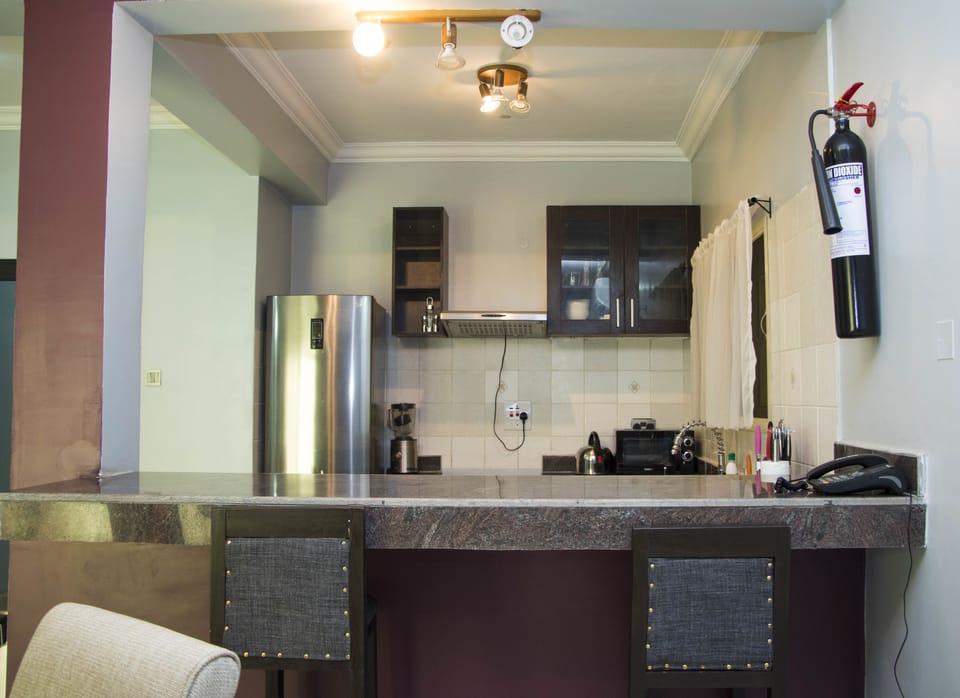 Standard Apartment, 2 Bedrooms | Private kitchen | Full-size fridge, microwave, oven, stovetop