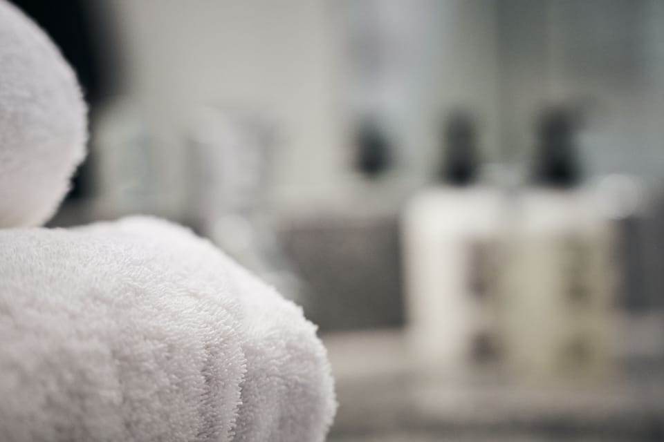 Shower, free toiletries, towels