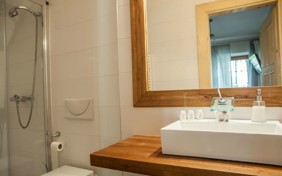 Family Room (Comfort) | Bathroom | Shower, free toiletries, hair dryer, towels