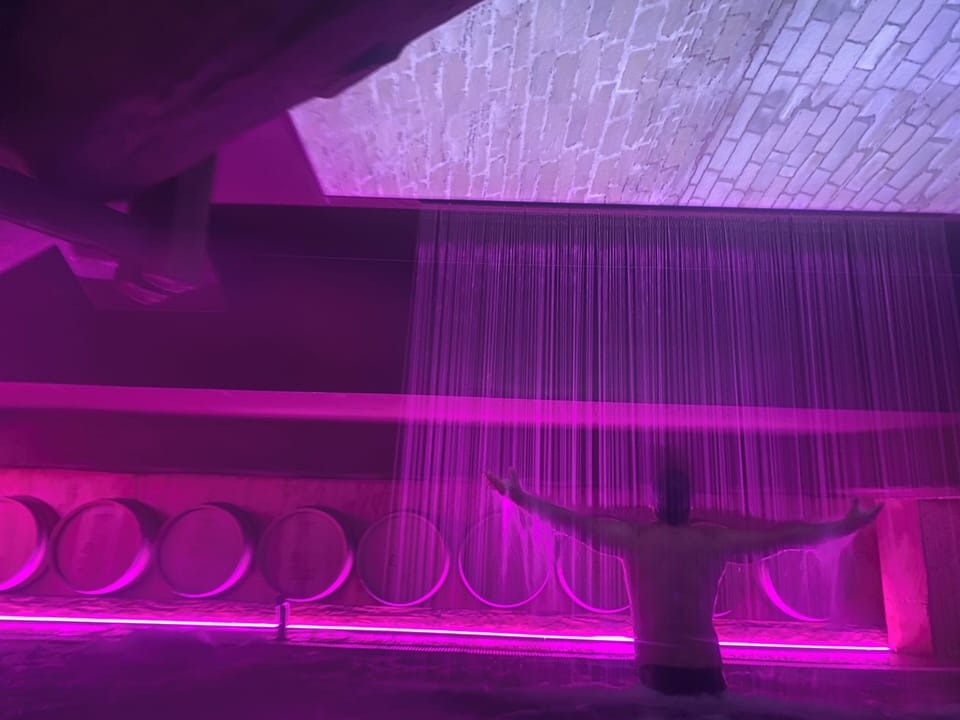 Sauna, hot tub, steam room