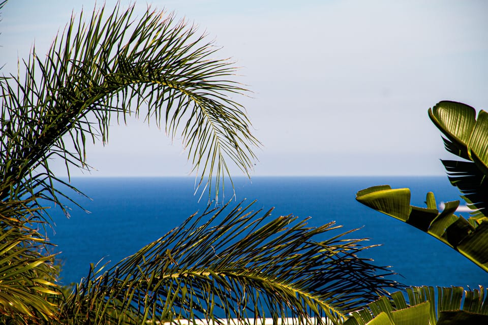 Beach/ocean view