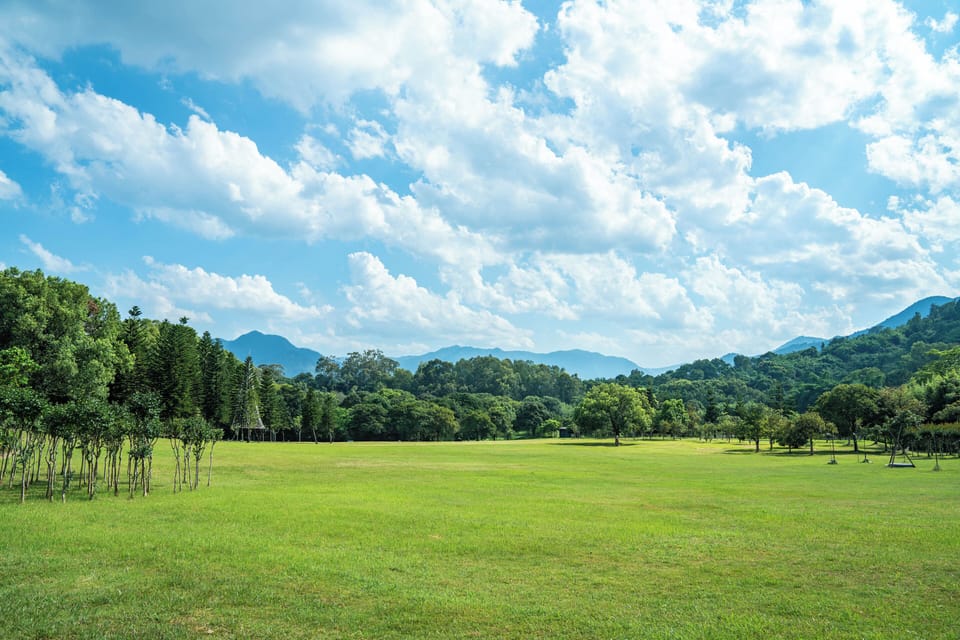 Outdoor wedding area