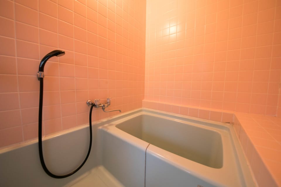 Combined shower/tub, free toiletries, hair dryer, slippers